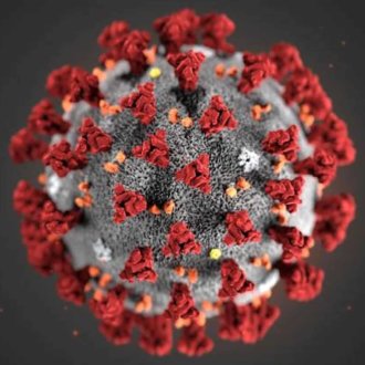 COVID-19 Molecule