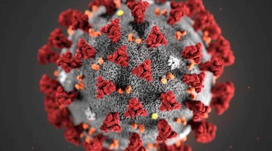 COVID-19 Molecule